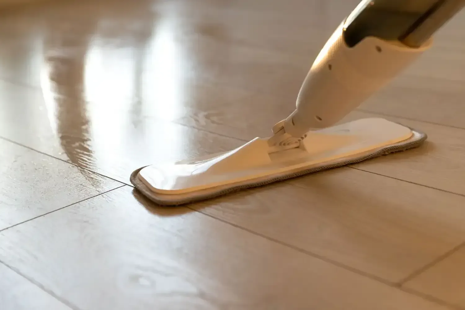 A person is using a spray mop to clean a wooden floor.